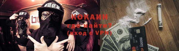 молекула духа Богородицк