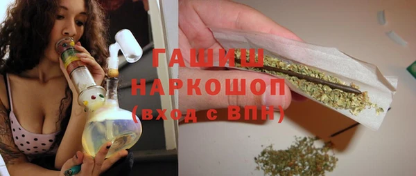 молекула духа Богородицк