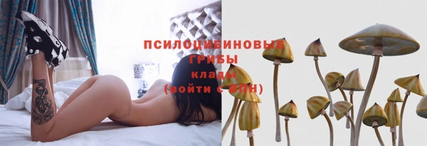 герыч Богородск