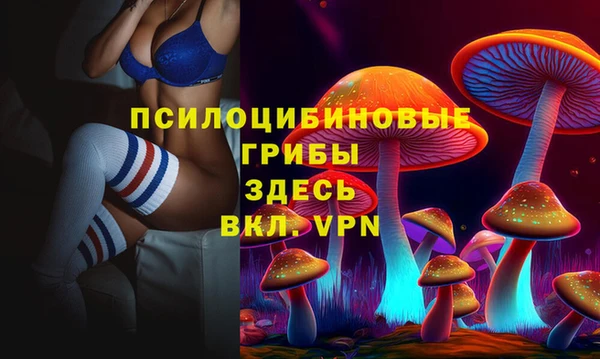 молекула духа Богородицк