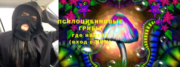 молекула духа Богородицк