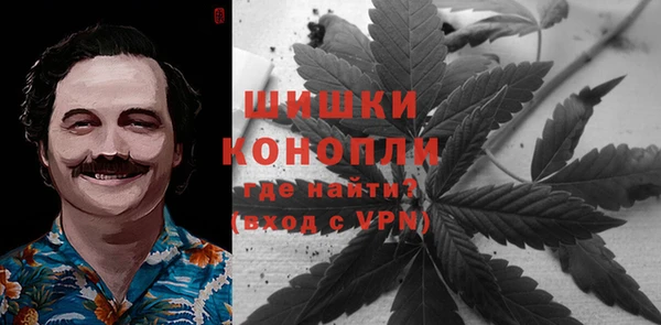 молекула духа Богородицк