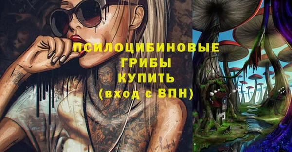 герыч Богородск