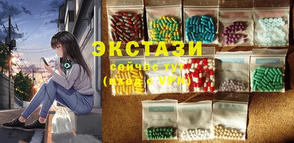 молекула духа Богородицк