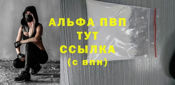 молекула духа Богородицк